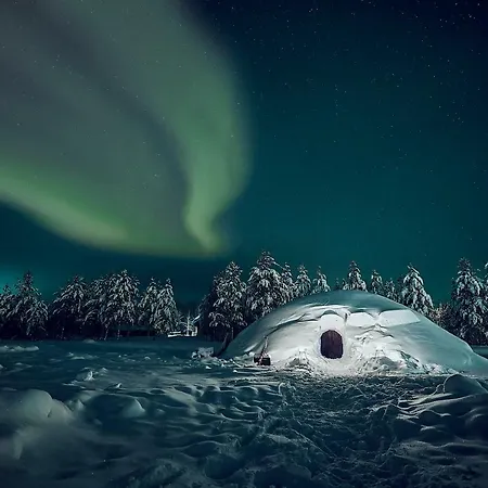 Lucky Ranch Snow Igloos Appartamento