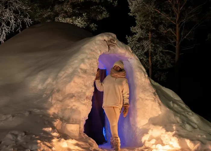 Lucky Ranch Snow Igloos 公寓