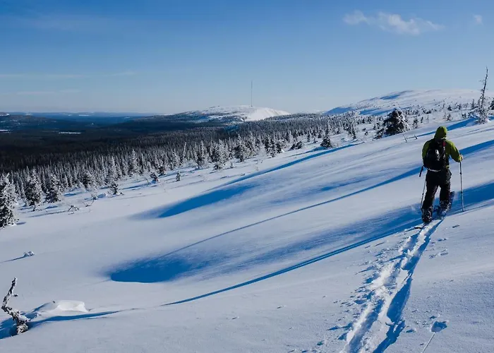 Lucky Ranch Snow Igloos *